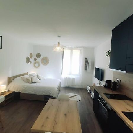 Annecy Vieille Ville, Superbe Appartement Au Calme Екстер'єр фото