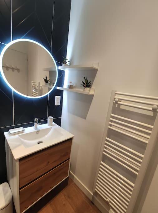 Annecy Vieille Ville, Superbe Appartement Au Calme Екстер'єр фото
