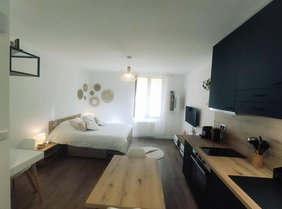 Annecy Vieille Ville, Superbe Appartement Au Calme Екстер'єр фото